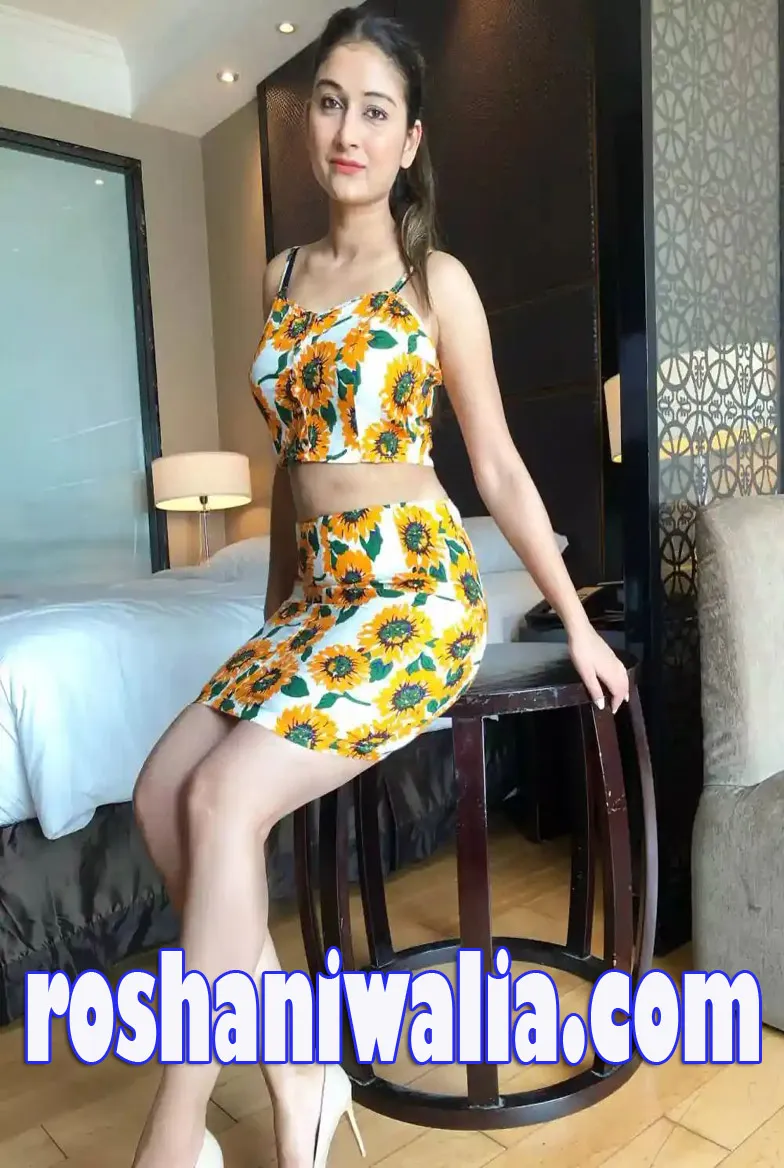 Low Budget noida Escort