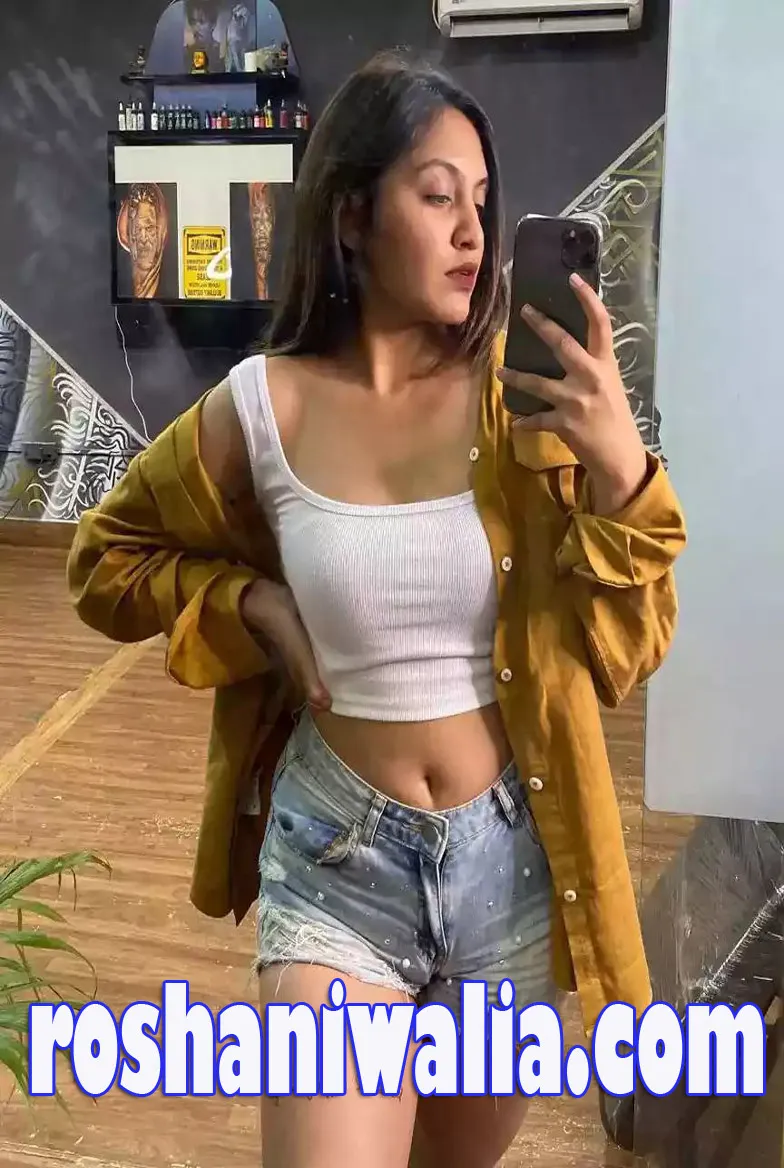 top rated air hostess call girls in noida 