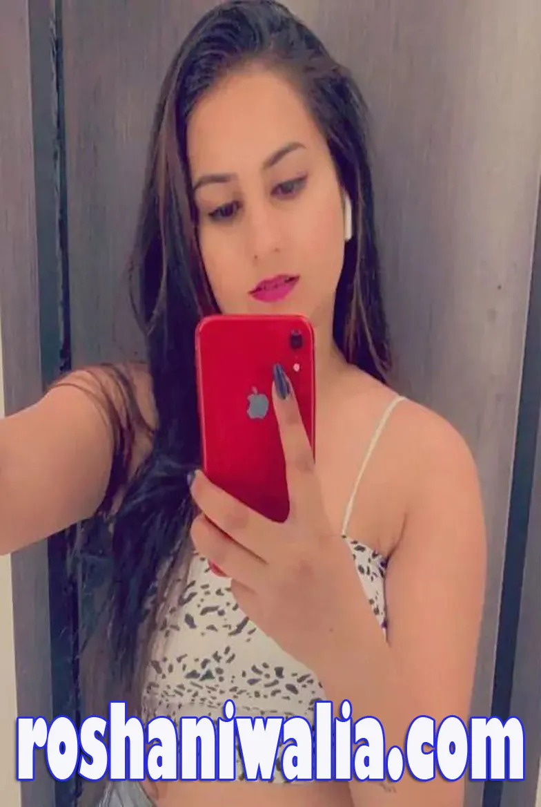Call Girls noida Escort Service